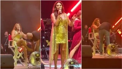 إليسا تتعرض لموقف محرج مع معجب في حفلها ببيروت