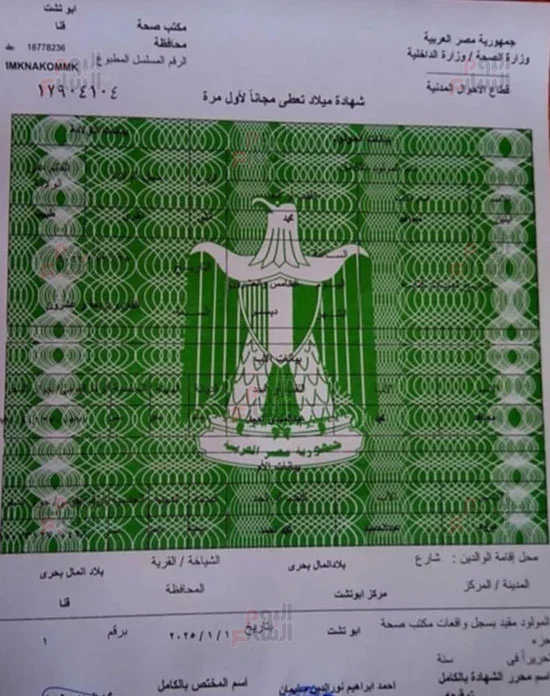 إيلين مجاهد تدخل التاريخ كأول مولودة في 2025