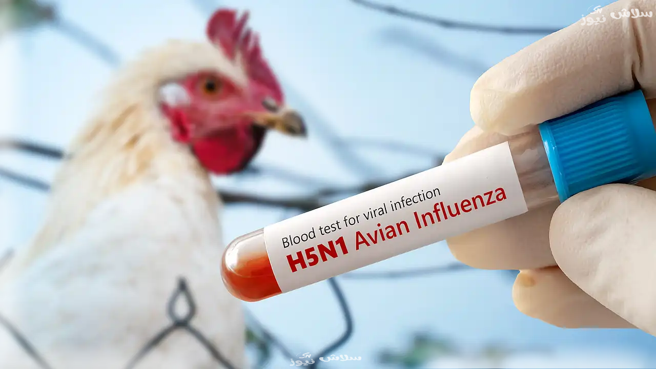 H5N1