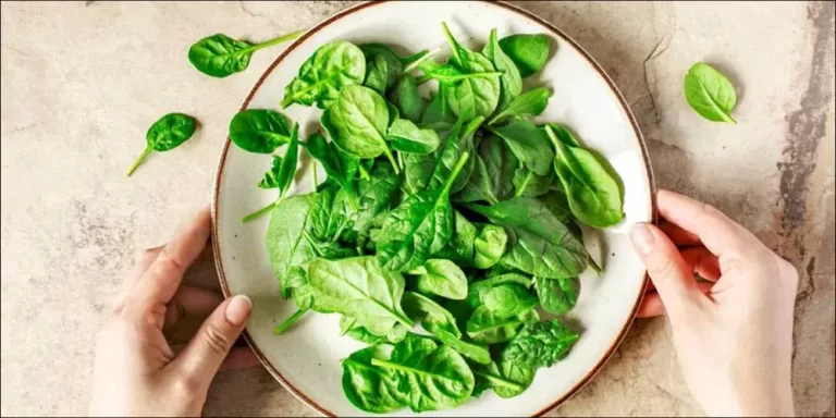 عشبة سحرية السبانخ .. السر الصحي لإنقاص الوزن وتنحيف الجسم بشكل طبيعي! 1 عشبة سحرية السبانخ .. السر الصحي لإنقاص الوزن وتنحيف الجسم بشكل طبيعي!
