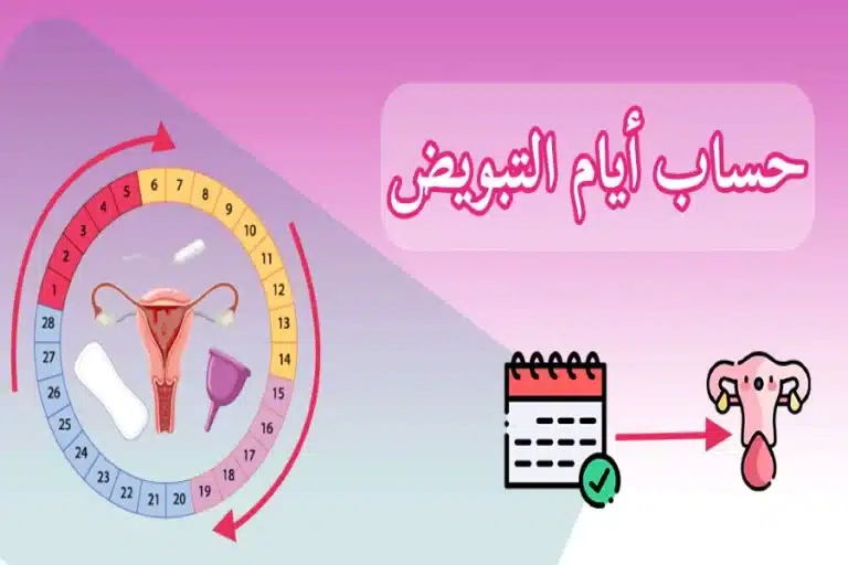 أفضل طريقة لحاسبة ايام التبويض وعلامات اقترابها