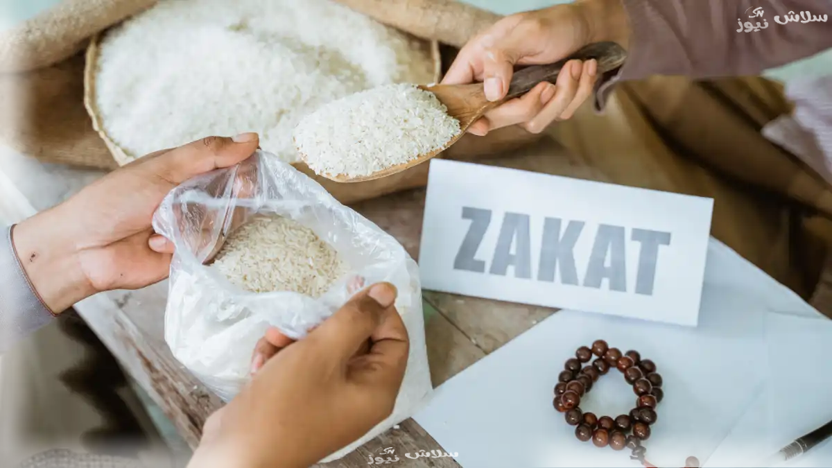 زكاة الفطر في زمن العولمة.. كيف نتعامل مع الحدود الجغرافية؟ 1 زكاة الفطر في زمن العولمة.. كيف نتعامل مع الحدود الجغرافية؟