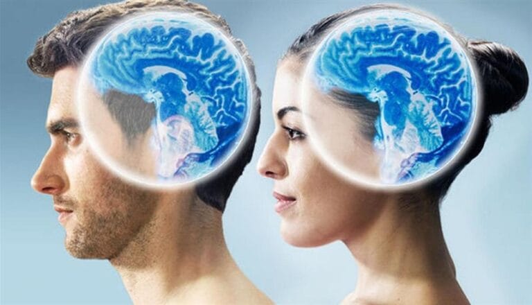 6 فروقات مذهلة تتحكم في حياتنا ..  الفرق بين دماغ المرأة و دماغ الرجل