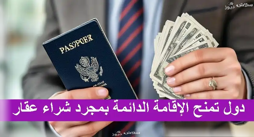 10دول تمنح الإقامة مقابل شراء عقار.. من بينها دول عربية 6 الدول التي تمنح الإقامة مقابل شراء عقار